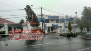 Waspada, Hujan Disertai Angin Kencang, Porak-Poranda Pepohonan