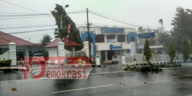 Waspada, Hujan Disertai Angin Kencang, Porak-Poranda Pepohonan