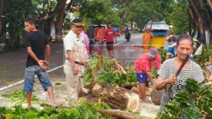 Pemkot Cepat Tanggap Tanggulangi Dampak Angin Kencang