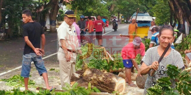 Pemkot Cepat Tanggap Tanggulangi Dampak Angin Kencang