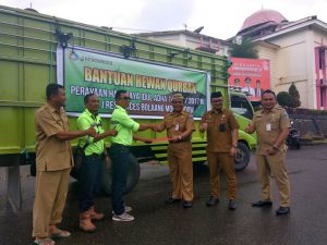 Bolsel Ketambahan Sembilan Ekor Hewan Kurban